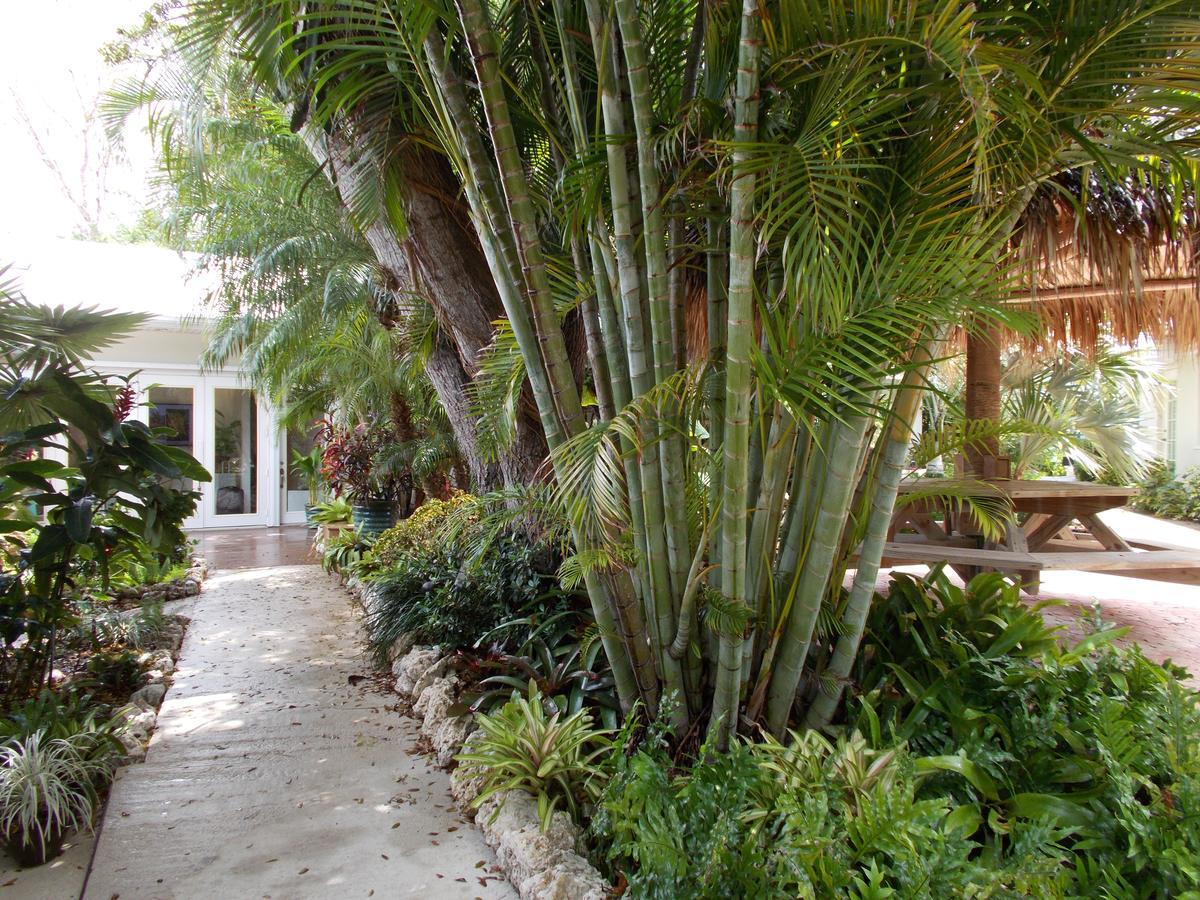 Kona Kai Resort&Gallery Key Largo Eksteriør bilde